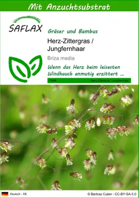 Produktbild von SAFLAX - Herz-Zittergras / Jungfernhaar - Briza media - 75 Samen - Mit keimfreiem Anzuchtsubstrat