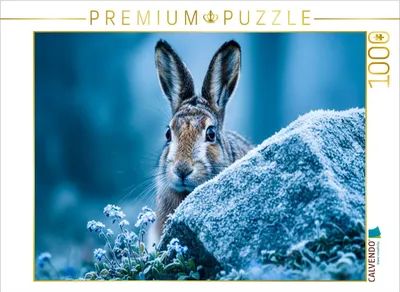 Produktbild von CALVENDO Puzzle Der wachsame Feldhase | 1000 Teile Lege-Größe 64x48cm Foto-Puzzle für glückliche Stunden