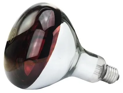 Productafbeelding van Philips Eider Warmtelamp 150Watt