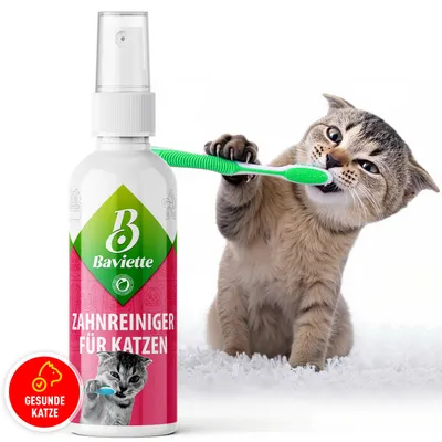 Produktbild von Baviette Zahnpflege Spray 100 ml – bürstenfreie Maulpflege für Katzen mit Mikroorganismen, geruchlos
