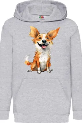 Obrázok produktu pre Detská Mikina S Kapucňou Funny Dogs Breeds Corgi Dog Breed, 12-13 Jahr - 152 / Heather šedá