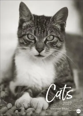 Obrázok produktu pre Kalendár Cats Edition 2027