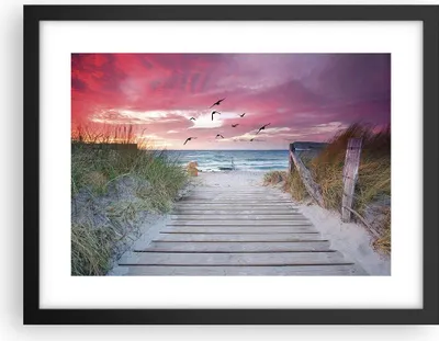 Produktbild von Gerahmtes Poster - Schwarzer Rahmen - Strand Sand Vögel - 40x30 cm - Wand Bild - Wanddeko - Wandbilder - Kunstposter - Wandposter - Bilderrahmen - Bilder - Kunstdruck - P2BAA40x30-4994