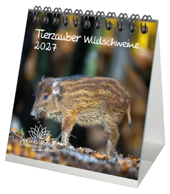 Produktbild von Wildschweinzauber Tischkalender 10x10cm für 2027 Schweine Schweinchen - Seelenzauber