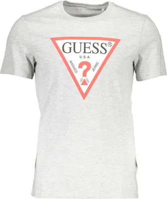 Produktbild von Graues Herren T-Shirt: Schmaler Schnitt, Rundhals & Logo-Druck