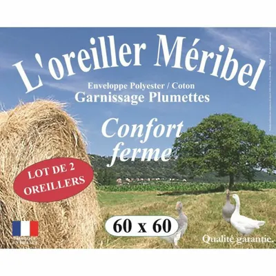 Produktbild von DODO Set mit 2 Kissen MERIBEL Plumettes 60x60cm