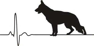 Produktbild von Autoaufkleber - KFZ Aufkleber - Herzschlag Hund - Deutscher Schäferhund - Deutscher Schaeferhund,