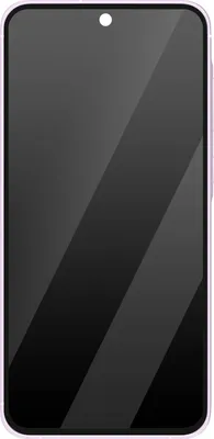 Produktbild von Samsung, LCD-Display + Touchscreen + Gehäuse für Samsung Galaxy A55 Original, Hellviolett