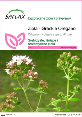 Zdjęcie produktu dla SAFLAX - Zioła - Greckie Oregano - 600 Nasiona - Origanum vulgare supsp. Hirtum