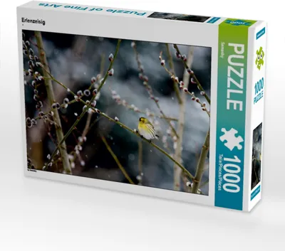 Produktbild von Calvendo Erlenzeisig 1000 Teile Puzzle quer 640x480mm, CALVENDO; 7291224