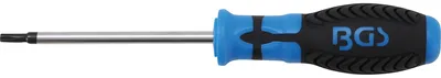 Image de BGS 4920 Tournevis, T25 x 80 mm