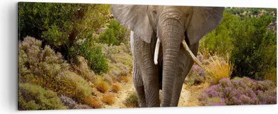 Produktbild von Bild auf Leinwand - Leinwandbild - Tiere Afrika Elefanten Spaziergang - 140x50cm - Wand Bild - Wanddeko - Leinwanddruck - Bilder - Kunstdruck - Leinwand bilder - Wandkunst - AB140x50-2708