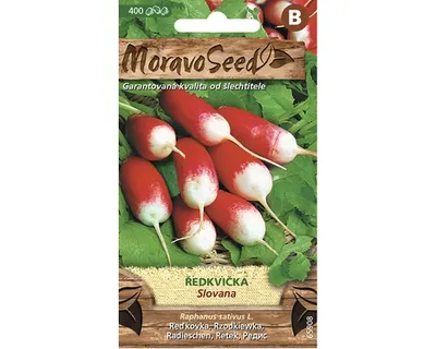 Produktbild von Radieschen zylindrisch SLOVANA rot-weiß MoravoSeed