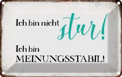 Produktbild von vianmo Blechschild 20x30 cm bin nicht stur meinungsstabil Dekoration Spruch Zitat