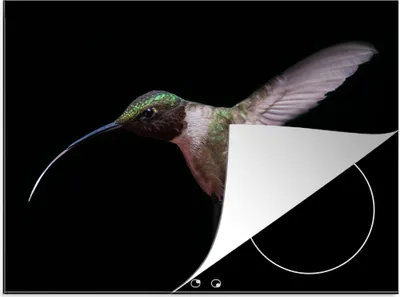 Produktbild von KitchenYeah© Herdabdeckplatte Kolibri - Vogel - Federn , 70x52cm, Küche Deko, Glaskeramikkochfeld Herdabdeckung, Abdeckplatte fùr Kochfeld
