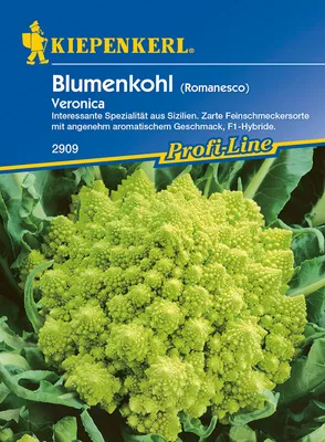 Produktbild von [STREICHUNG 2024] Blumenkohl Veronica F1 | Blumenkohlsamen von Kiepenkerl
