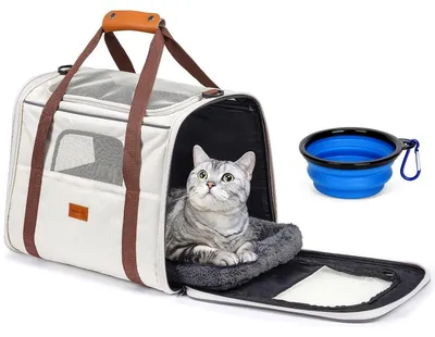 Productafbeelding van Transportbox kat Kattentransportbox - 43 x 28 x 35 cm - Tot 7 kg - Blauw