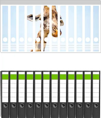 Produktbild von Wallario 12 Stück schmale Ordner inkl. Klebeetiketten mit Motive Nahaufnahme einer Giraffe -  Set mit Rückenschildern / Ordnerrücken Stickern