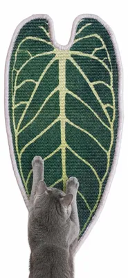 Produktbild von Sisal-Kratzmatte für Katzen - 31 x 65 cm