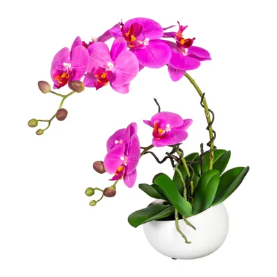Produktbild von Kunstpflanze Phalaenopsis Höhe: 42 cm lila