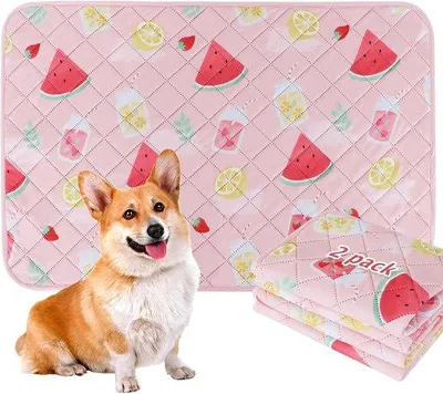Productafbeelding van BVAGSS Wasbare Plaspads voor Honden, Set van 2 Herbruikbare Lekvrije Puppy Plaspads, Antislip Waterdichte Trainingspads voor Huisdieren