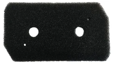 A black foam filter with two circular holes.