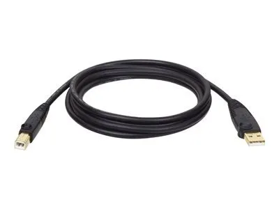 Image de EATON TRIPPLITE Câble USB 2.0 A/B M/M