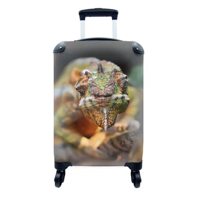 Produktbild von MuchoWow® Koffer Handgepäck Trolley Rollkoffer Kleine Reisekoffer mit 4 Rollen - Wissbegieriges Chamäleon - Cabin Size < 55x40x23 cm & 55x40x20 cm - Fotokoffer - Kabinenkoffer - Boardgepäck - Reise-Box - Reisekoffer - Reisegepäck - Koffer mit Bild - Trolley für Kinder