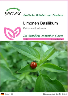 Produktbild von SAFLAX - Kräuter - Limonen Basilikum - 200 Samen - Ocimum citriodorum