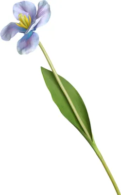 Produktbild von Künstliche Blume, realistische Simulation Tulpe Blume, Kunstseide Blume Fotografie Requisiten für Zuhause Hochzeit Dekoration