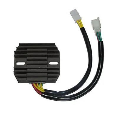 Image de Contrôleur de charge ElectroSport ESR 660