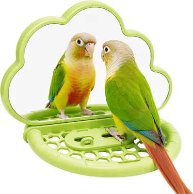 Imagen del producto de Jaula para pájaros con percha, de 30 cm, con comedero, ideal para la cría de aves