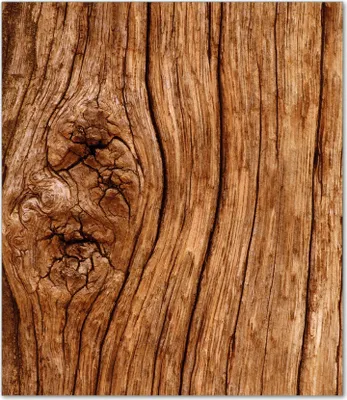 Produktbild von Wallario Herdabdeckplatte aus Glas, Größe 52 x 60 cm 1-teilig, Motiv Holzstamm mit Asteinschluss