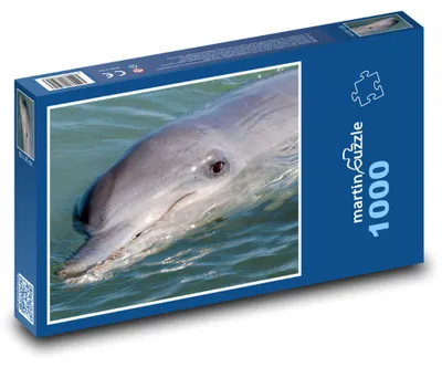 Produktbild von Puzzle 1000 Delfin in der Meeresoberfläche - martinpuzzle