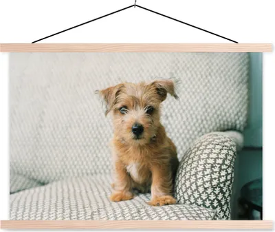 Produktbild von MuchoWow® Textilposter Ein Welpe sitzt auf dem Sofa 60x40 cm mit holzfarbenen Rahmen - Bilder