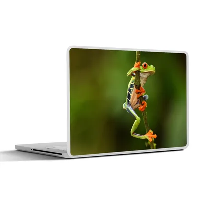Produktbild von MuchoWow® Laptop Aufkleber Sticker Cover Rotaugenlaubfrosch im Dschungel 32.5x23.5 cm - Sticker für Laptop - Selbstklebend