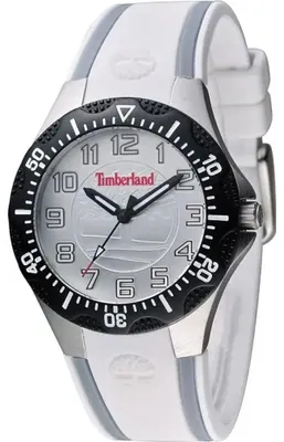 Obrázek produktu pro TIMBERLAND Náramkové hodinky TBL14323MSTB04