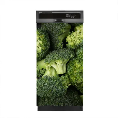 Produktbild von Magnete Dekorative 45x80 cm Küche Magnetmatte Spülmaschine - grüner frischer Brokkoli
