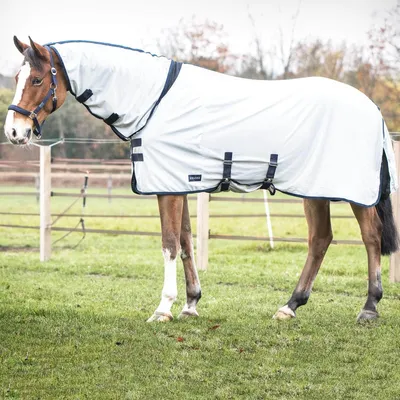 Image de Busse Outdoor-Fliegendecke COMFORT PRO