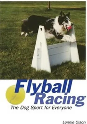 Image de Flyball Racing