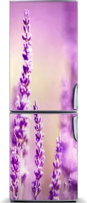 Produktbild von Tulup Kühlschrankdekoration - Magnetmatte - 60 cm x 180 cm - Magnet auf dem Kühlschrank - Lavendel