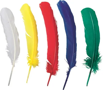 Obrázek produktu pro 5Xheyda 204885407 Indianerfeder17-19Cm