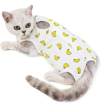 Immagine prodotto di Abbigliamento professionale per il recupero post-operatorio dei gatti, alternative ai collari elettronici, abbigliamento post-operatorio, pigiami per animali domestici