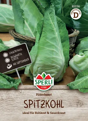 Produktbild von SPERLI Weißkohlsamen Filderkraut Brassica oleracea 120 Pflanzen