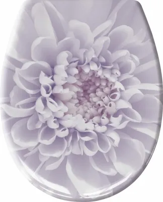 Immagine prodotto di Sedile per wc Kleine Wolke DAHLIA in Duroplast color lavanda con meccanismo di chiusura morbida e Easy Clean