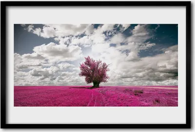 Produktbild von Bild 60x40 MDF-Rahmen Wandkunst Baum Feld Natur Pflanze