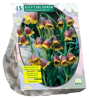 Produktbild von Fritillaria Mikhailovskyi pro 15 Zwiebeln Baltus