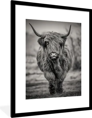 Produktbild von MuchoWow® Gerahmtes Poster Schottischer Highlander - Schwarz und Weiß 60x80 cm - Poster mit Schwarzem Bilderrahmen Wandposter Rahmen Foto Bilder - Wohnzimmer - Dekorationen - Prämie