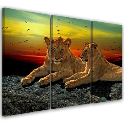 Produktbild von Triptychon auf leinwand tiere - farbig 60x40 cm Feeby farbe wandbild bereit zum aufhängen