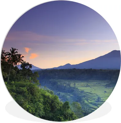 Produktbild von MuchoWow® Rundes Wandbild - Runde Bilder Indonesien - Natur - Reis Ø 60 cm Kreis Wanddekoration Kunststoff - Wandkreis - Wandschmuck - Wand Kreis - Das Schlafzimmer - Die Bilder - Wandmalerei - Kunst für das Haus - das Plastik